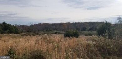 0 Junction Rd unit VASH118694, Strasburg, VA 22657 - photo 2