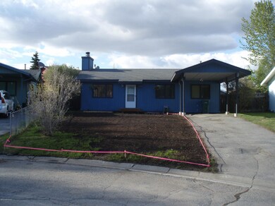 Newly planted front yard