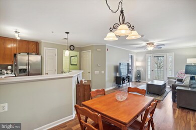 18801 Sparkling Water Dr unit 8/203, Germantown, MD 20874 - photo 4