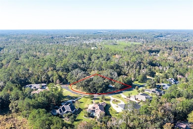 2006 NW 104th Way, Gainesville, FL 32606 - photo 3