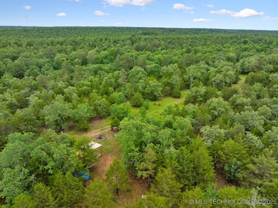 25 Tram Trail, Rattan, OK 74562 - photo 3