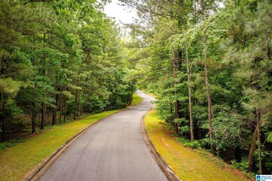 00 Highway 26, Alabaster, AL 35007 - photo 4