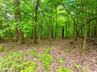 0 Running Deer Tr unit 1322139, Caryville, TN 37714 - photo 4