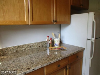 9451 Fairfax Blvd unit 202, Fairfax, VA 22031 - photo 6