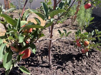 45766 Altree Ct, Temecula, CA 92592 - photo 6