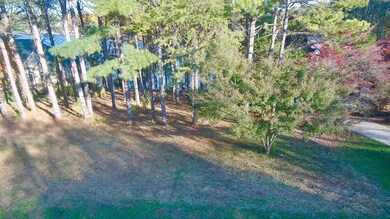 162 Inagehi Way, Loudon, TN 37774 - photo 5