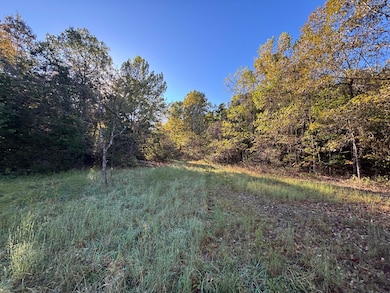 000 Timbercrest Rd, Viola, AR 72583 - photo 3