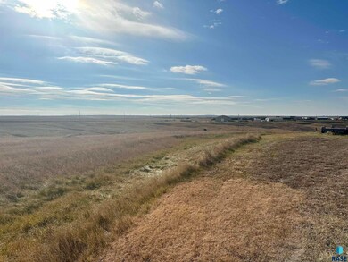 28057 Cactus Flat Dr Dr, Fort Pierre, SD 57532 - photo 6