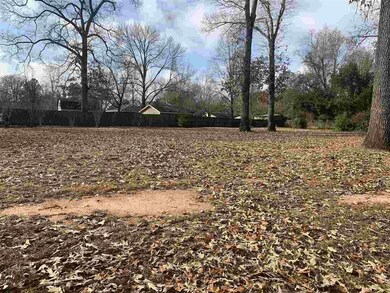 103 Magnolia Glen Ct, Centerville, GA 31028 - photo 3