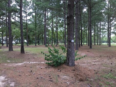 109 Railroad Rd, Colquitt, GA 39837 - photo 4