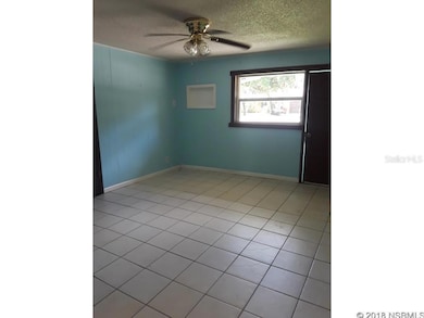 806 E 9th Ave, New Smyrna Beach, FL 32169 - photo 3