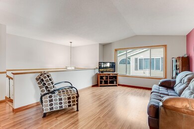 14903 Glenbrook Ave N, Hugo, MN 55038 - photo 5