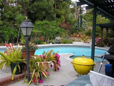 Back Yard (2)