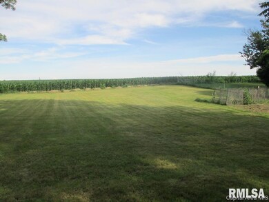 230 S East St, Virginia, IL 62691 - photo 4