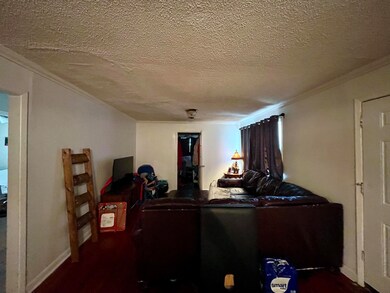 IMG_8466