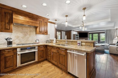 415 E, Aspen, CO 81611 - photo 7