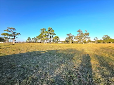 730 County Road 6610, Dayton, TX 77535 - photo 5