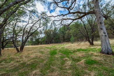 21694 Cricket Dr, Grass Valley, CA 95949 - photo 5