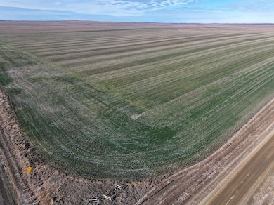 Sansarc Rd, Hayes, SD 57537 - photo 7