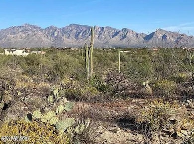 0 N Gibson Trail unit 22529856, Tucson, AZ 85755 - photo 4