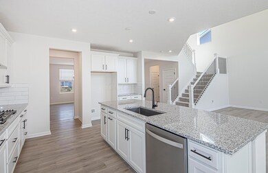6 Kitchen