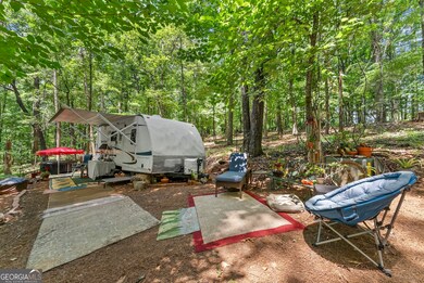 3.07 ACRES Ann's Aly, Clarkesville, GA 30523 - photo 3