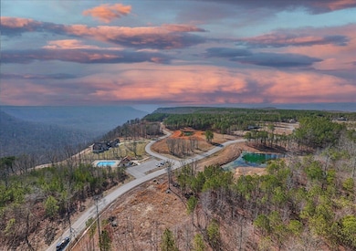 1-DJI_20250205114337_0187_D copy