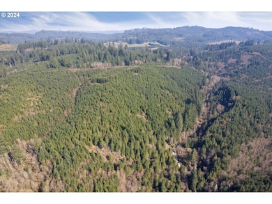 0 NE Cedar Mist Rd, Amboy, WA 98674 - photo 5