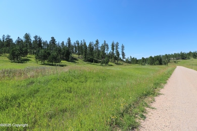 TBD Reynolds Rd, Sundance, WY 82729 - photo 7