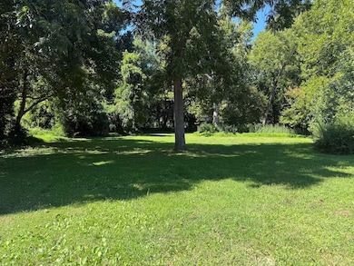 314 S Ash St, Spring Hope, NC 27882 - photo 4