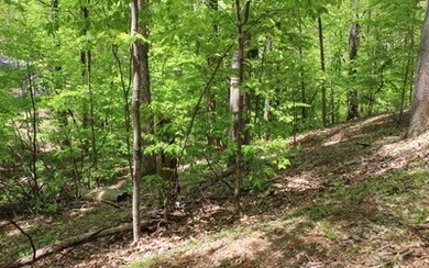 Additional View
