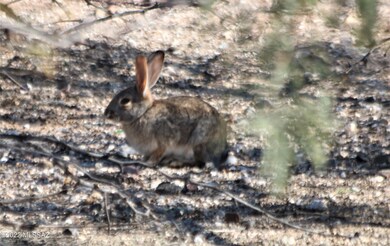 3837 N Estrella Ln, Tucson, AZ 85705 - photo 6