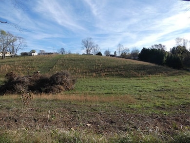 000 Lee Hwy, Meadowview, VA 24361 - photo 2