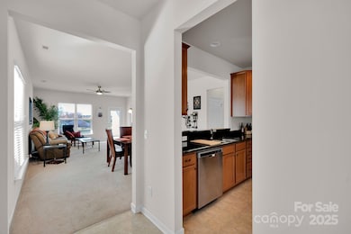 20310 Dovekie Ln, Fort Mill, SC 29707 - photo 3