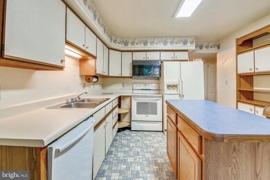 141 N Park Dr, Salisbury, MD 21804 - photo 6