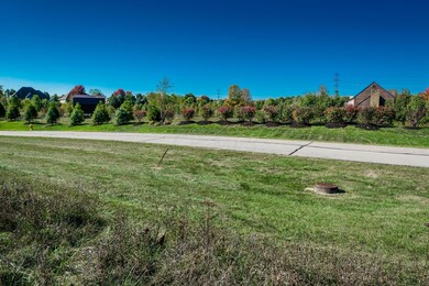 6897 Harriott Rd, Powell, OH 43065 - photo 5