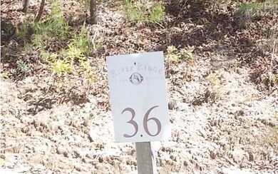 LT 36 Cascading Brook Ln, Blue Ridge, GA 30513 - photo 2