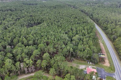 0 Hwy 40, Ocala, FL 34470 - photo 6