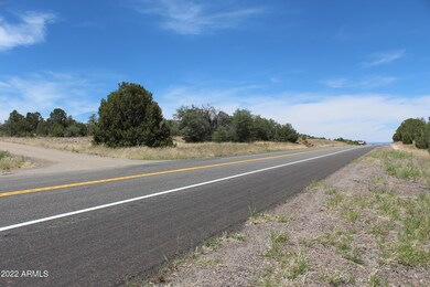000 S Ash Creek Rd, Globe, AZ 85501 - photo 5