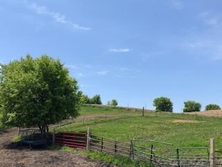 IMG_2482 (1)