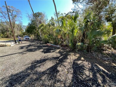 10714 W Marker Path, Homosassa, FL 34448 - photo 2