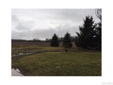 Yard.