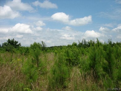 0000 Cool Water Rd, Caroline, VA 22546 - photo 3