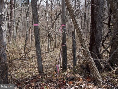 0 Puffenburger unit 1000089091, Hedgesville, WV 25427 - photo 2