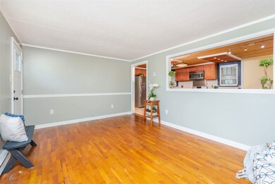 819 Rockland Ave, Charlottesville, VA 22902 - photo 3