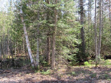 TBD Off Rice Lake Rd unit No Drive Bys, Lake Linden, MI 49945 - photo 7