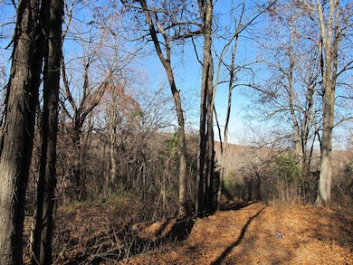 9560 Madison, Red Star, AR 72752 - photo 2