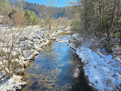 Tbd Viking Mtn Rd, Greeneville, TN 37743 - photo 6