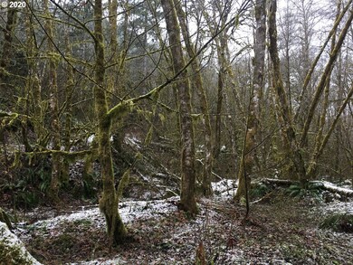 0 Beaver Creek Rd, Sheridan, OR 97378 - photo 6