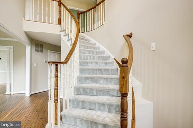 13610 Clary Sage Dr, Chantilly, VA 20151 - photo 4